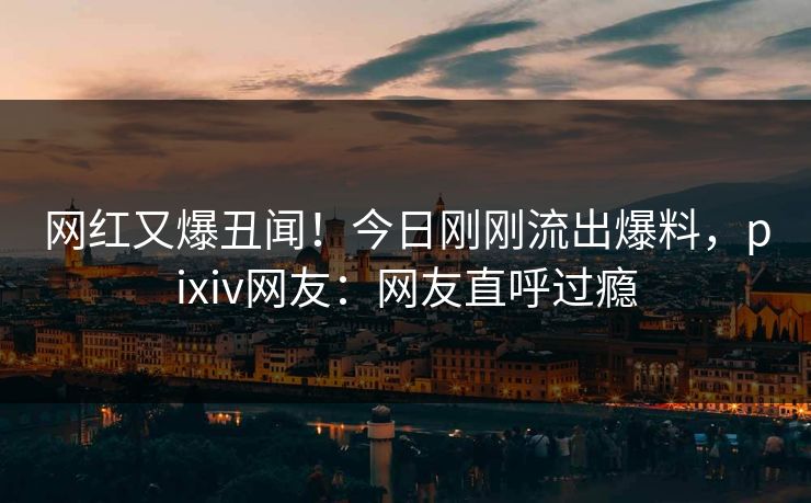 网红又爆丑闻！今日刚刚流出爆料，pixiv网友：网友直呼过瘾