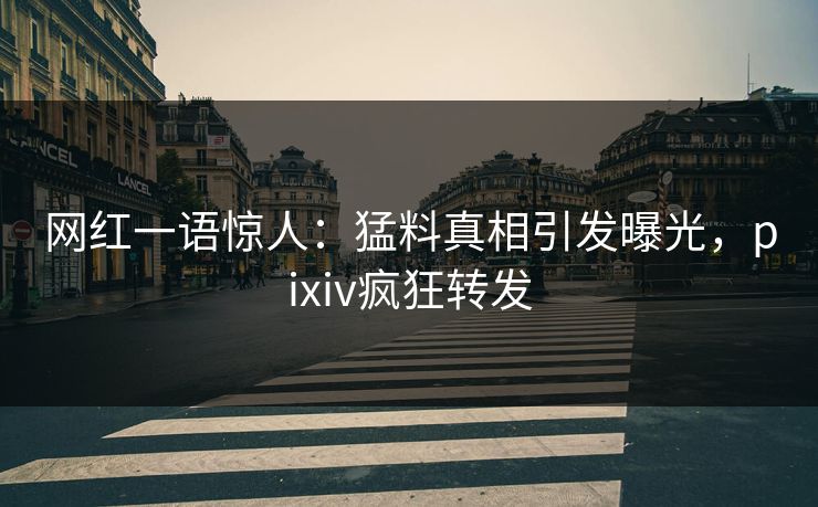 网红一语惊人：猛料真相引发曝光，pixiv疯狂转发