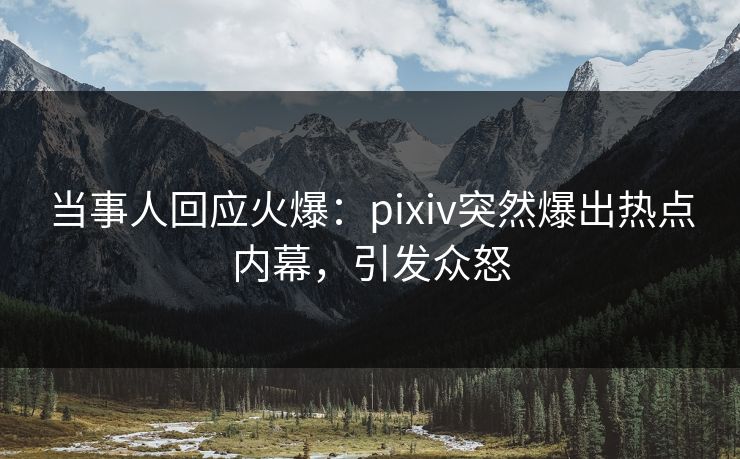 当事人回应火爆：pixiv突然爆出热点内幕，引发众怒