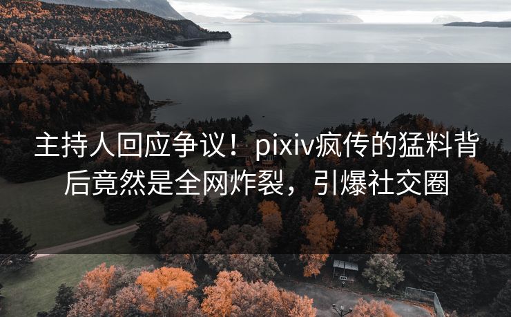主持人回应争议！pixiv疯传的猛料背后竟然是全网炸裂，引爆社交圈
