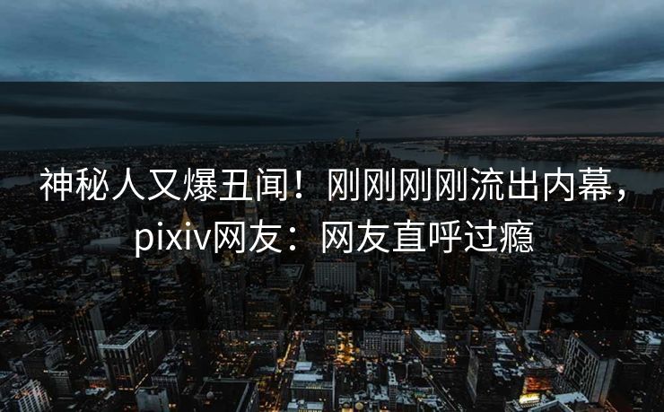 神秘人又爆丑闻！刚刚刚刚流出内幕，pixiv网友：网友直呼过瘾