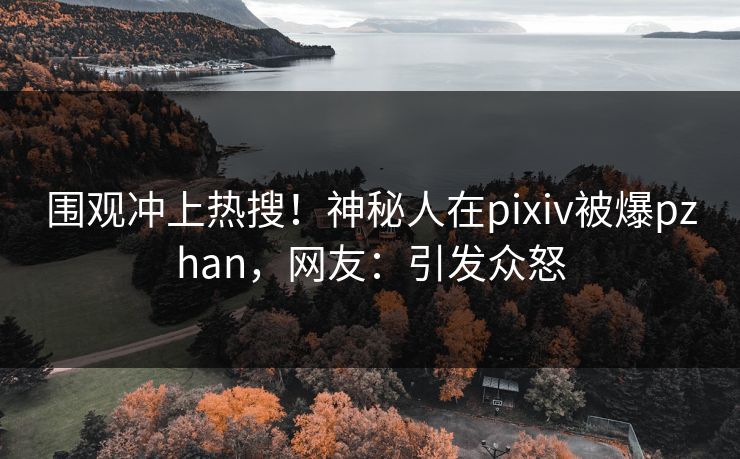围观冲上热搜！神秘人在pixiv被爆pzhan，网友：引发众怒