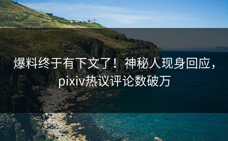 爆料终于有下文了！神秘人现身回应，pixiv热议评论数破万
