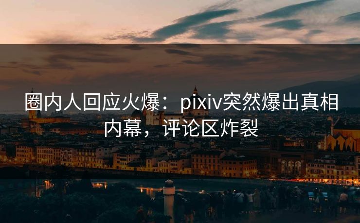 圈内人回应火爆：pixiv突然爆出真相内幕，评论区炸裂