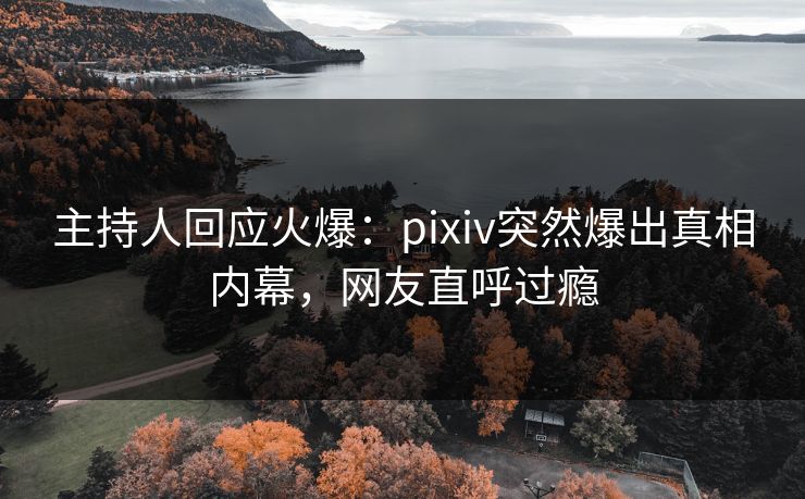 主持人回应火爆：pixiv突然爆出真相内幕，网友直呼过瘾