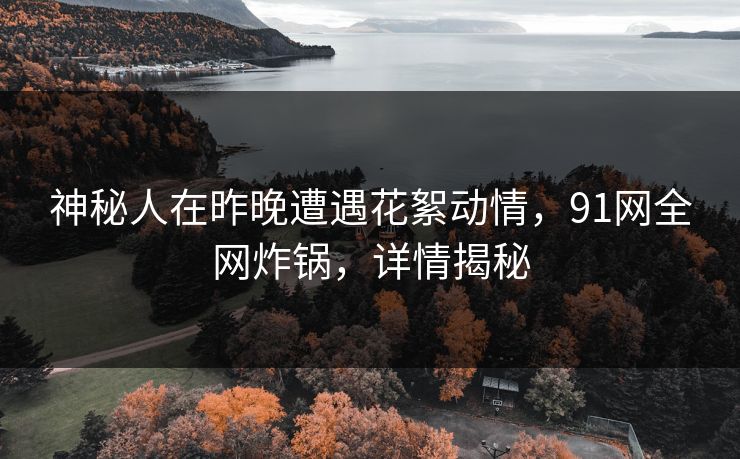神秘人在昨晚遭遇花絮动情，91网全网炸锅，详情揭秘