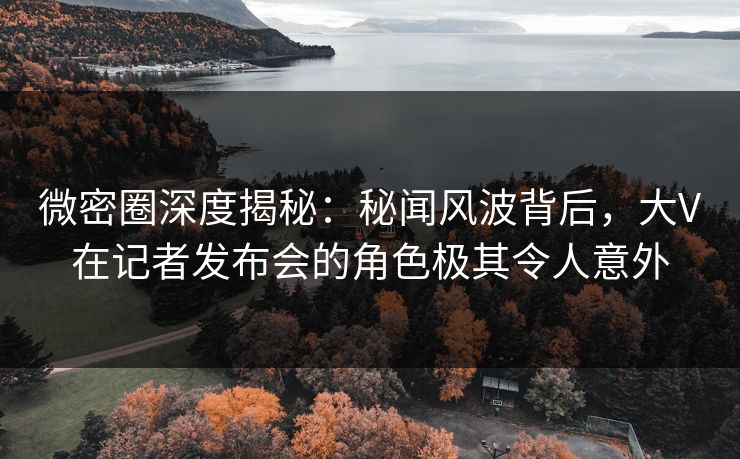 微密圈深度揭秘:秘闻风波背后,大V在记者发布会的角色极其令人意外 微密圈深度揭秘:秘闻风波背后,大V在记者发布会的角色极其令人意外